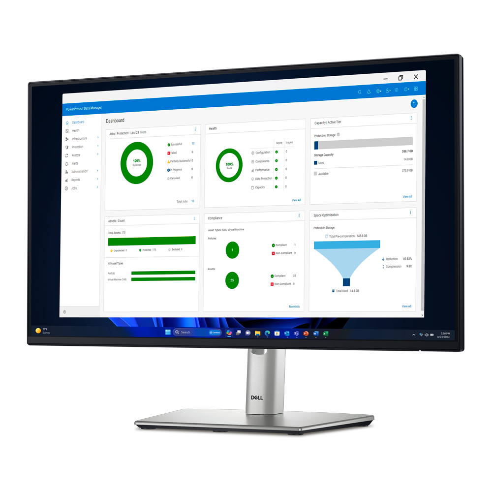 PowerProtect Data Manager​